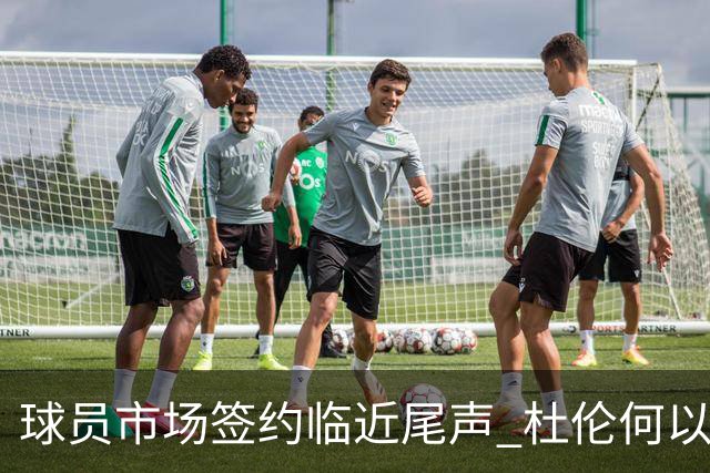 球员市场签约临近尾声 杜伦何以成为夏窗头号剩男？